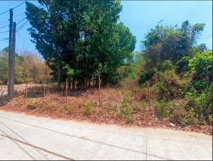 Residential Lot only 400m to New San Fdo-San Juan Bypass Road, San Fernando City, La Union